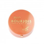 Купить Bourjois румяна компактные Blush Pastel Joues re-pack 32 тон