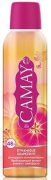Купить Camay дезодорант спрей женский 150мл Грейпфрут Dynamique